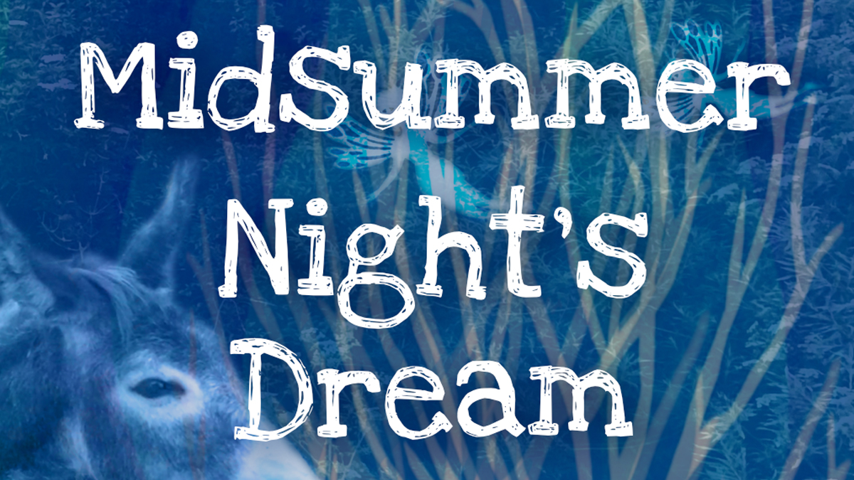 Midsummer Night&#8217;s Dream