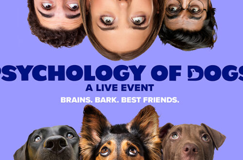 The Psychology of Dogs